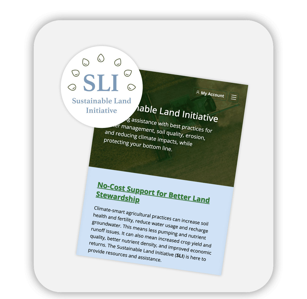 Frontend Development Project